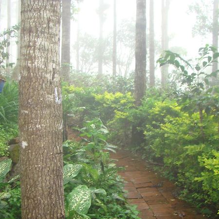 Hotel Shevaroys Yercaud Exterior photo