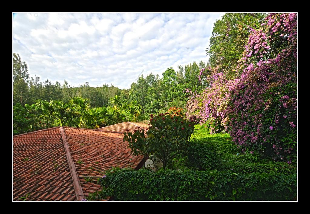 Hotel Shevaroys Yercaud Room photo