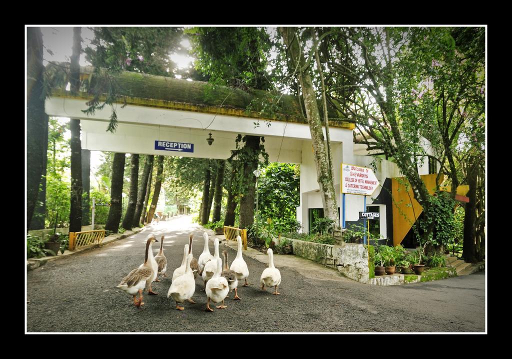 Hotel Shevaroys Yercaud Exterior photo