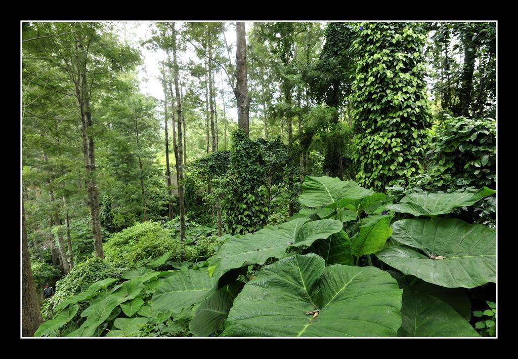 Hotel Shevaroys Yercaud Exterior photo