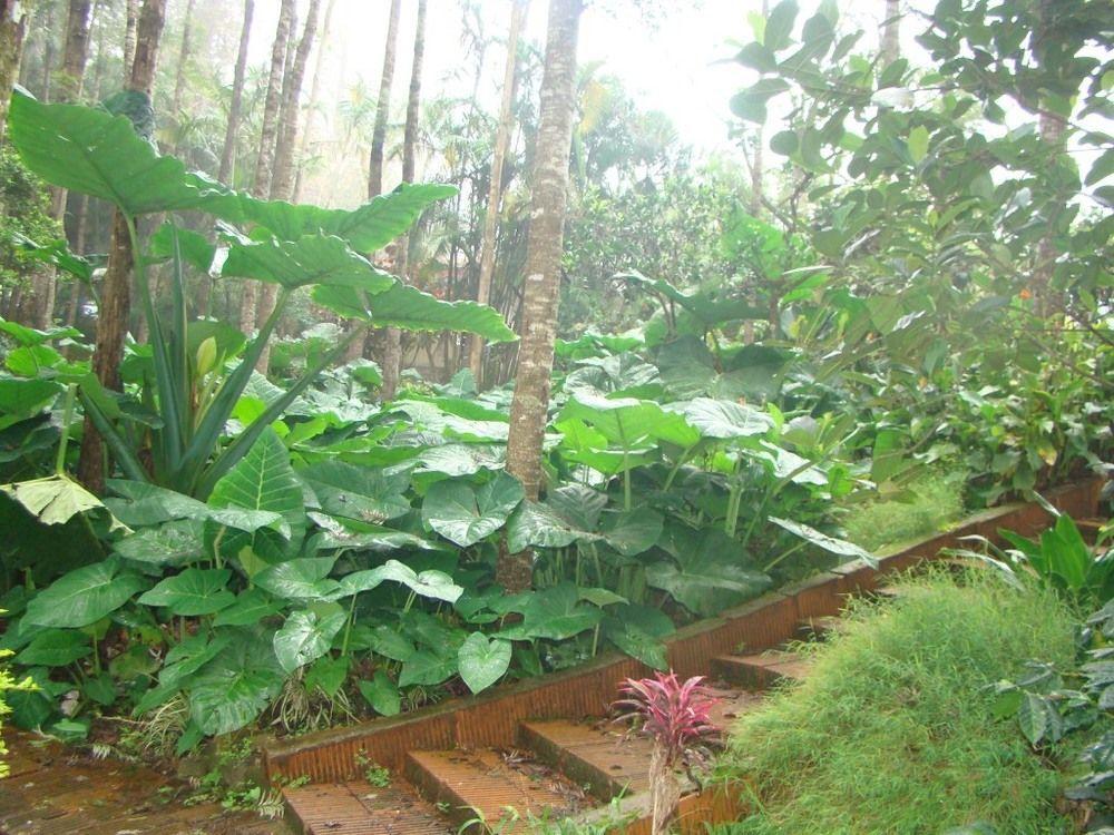 Hotel Shevaroys Yercaud Exterior photo